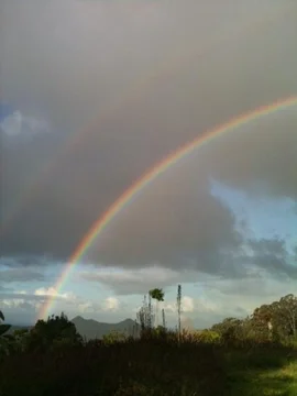 Additional image 17 of Main Arm NSW 2482