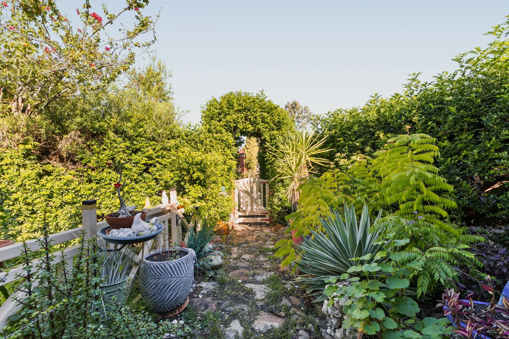 Image 23