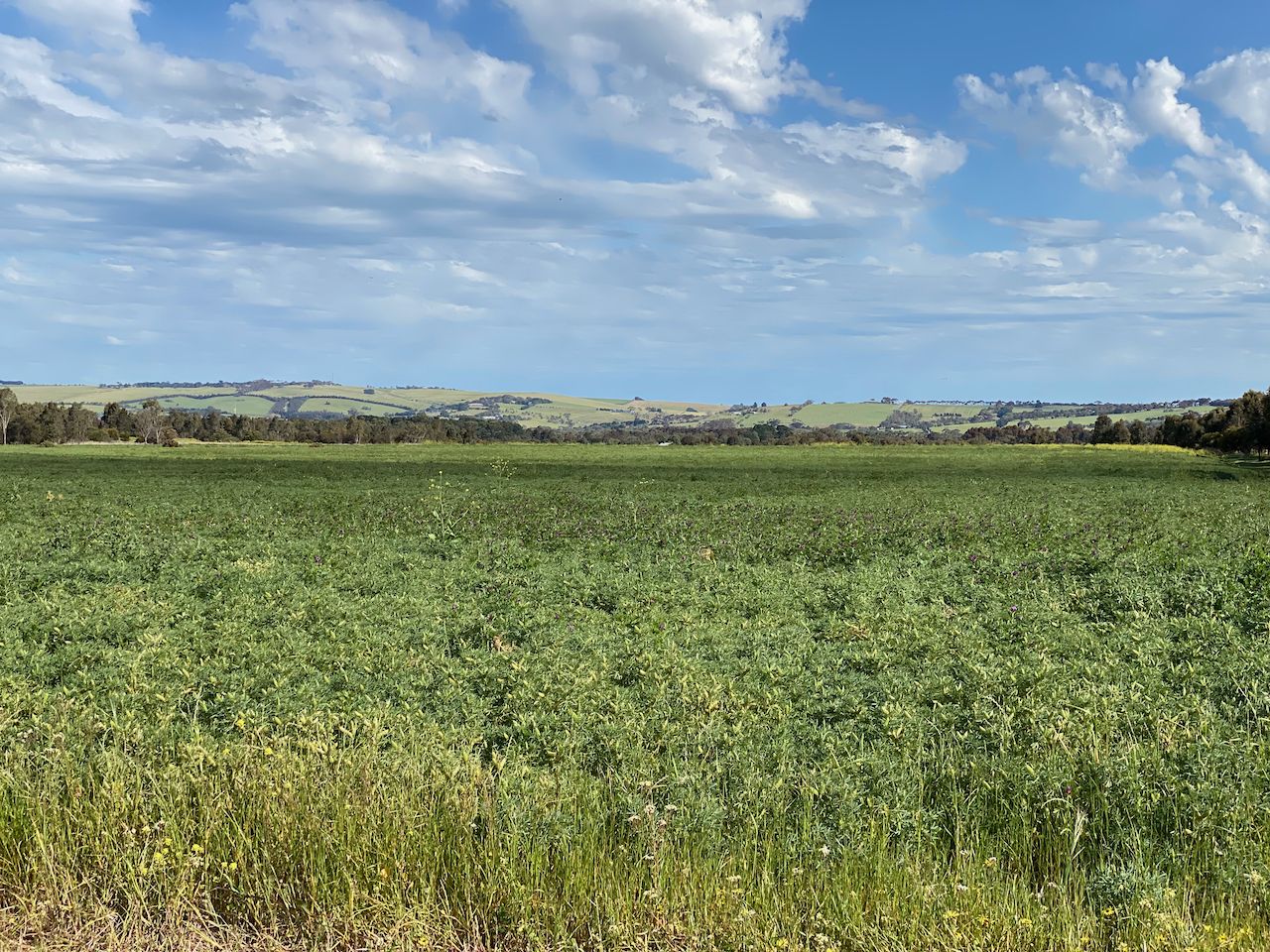 7, Sec. 9 Friend in Hand Road, Stonehaven VIC 3218, Image 0