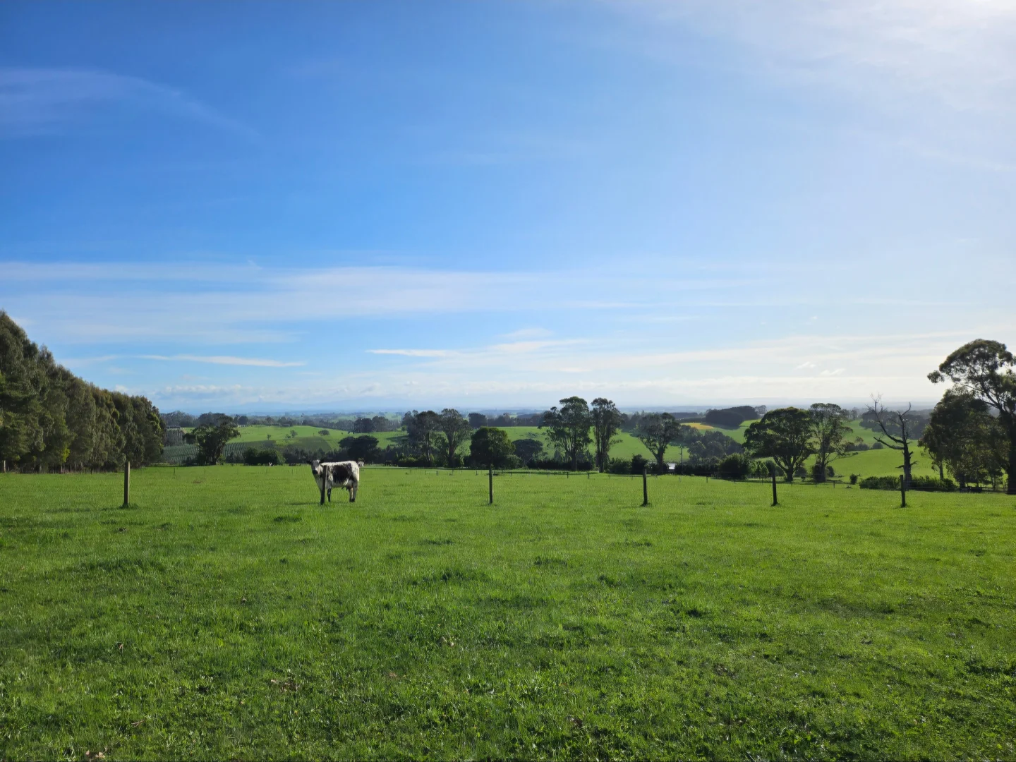 Additional image 13 of 2 Fowlers Road, Ellinbank VIC 3821