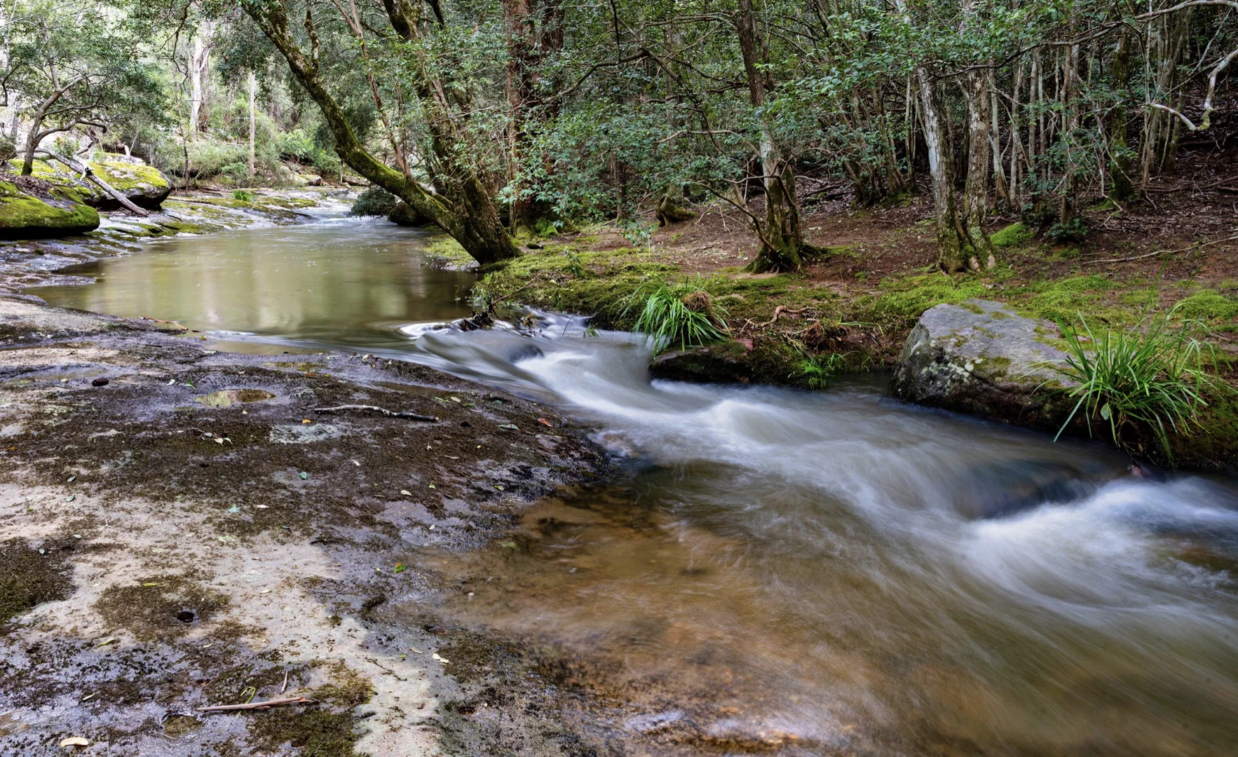 Image 38