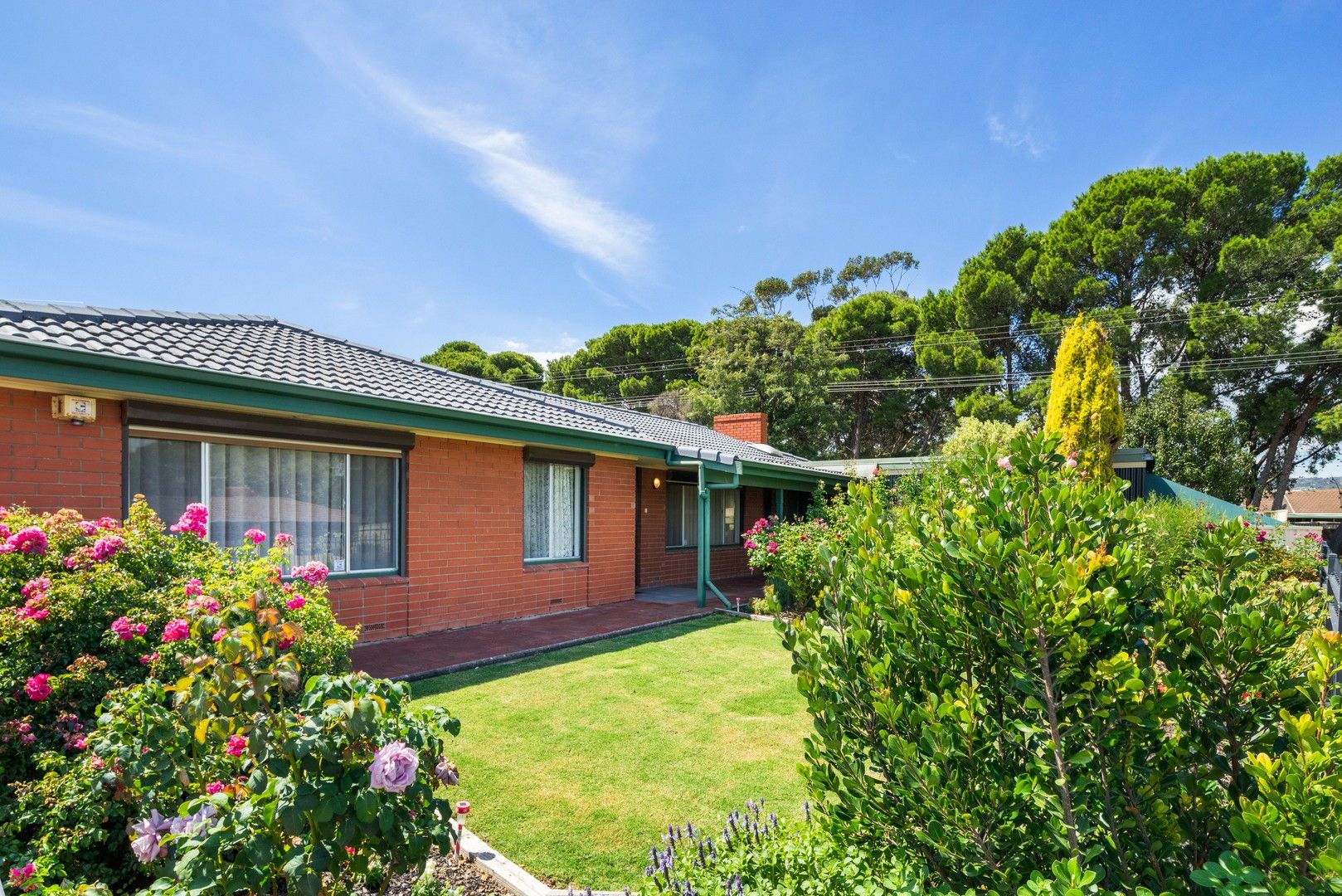 3 bedrooms House in 1 Leech Avenue MORPHETT VALE SA, 5162