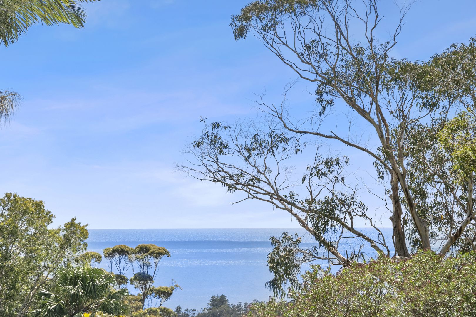 41 The Outlook, Bilgola Plateau NSW 2107, Image 2