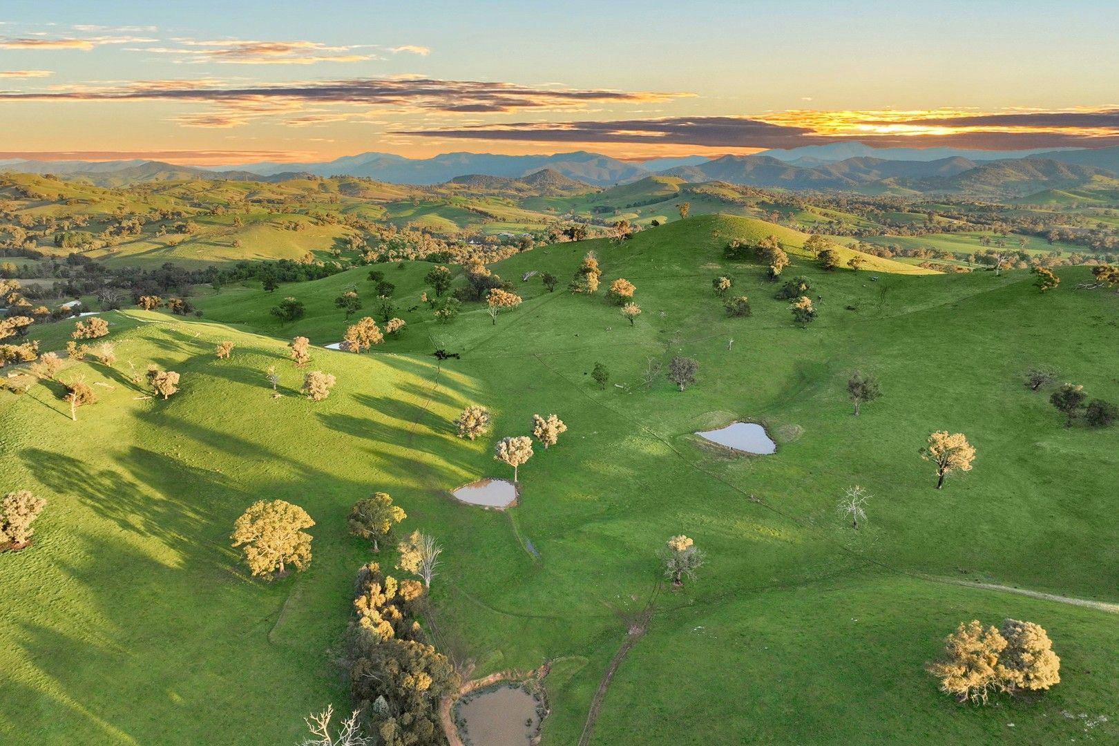 408 Monkey Gully Road, Mansfield VIC 3722 House for Sale Domain