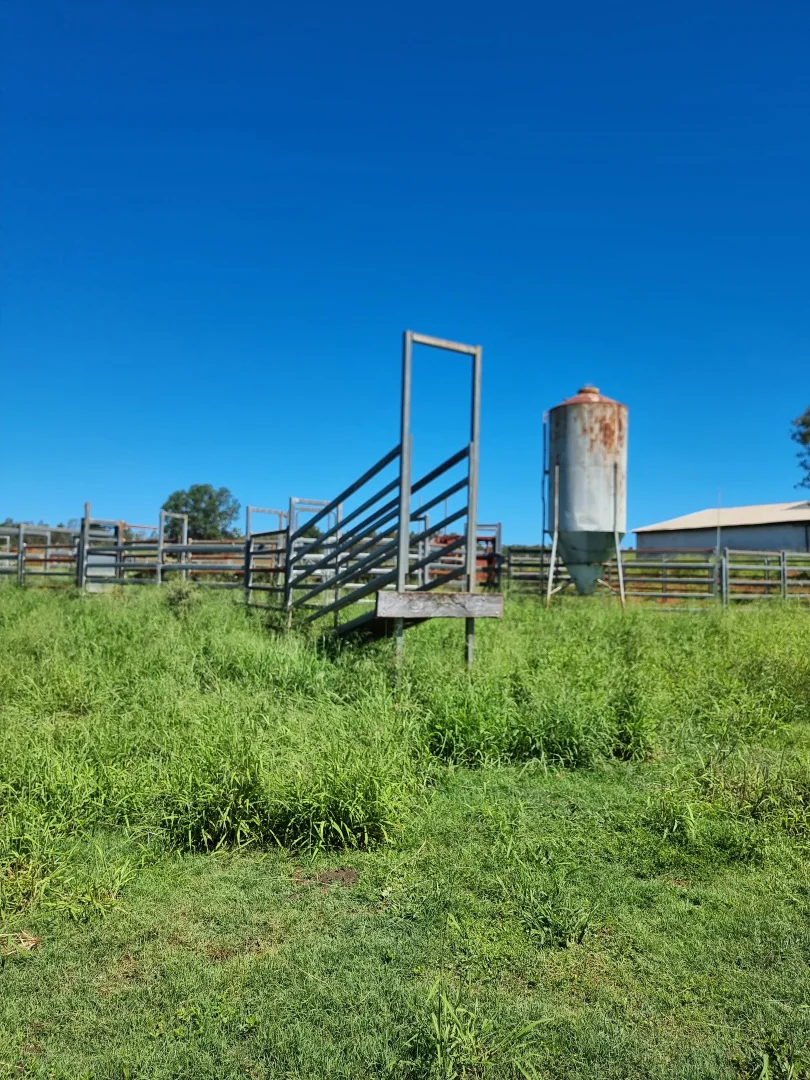Additional image 9 of 42 Roberts Road, Speedwell, Proston QLD 4613