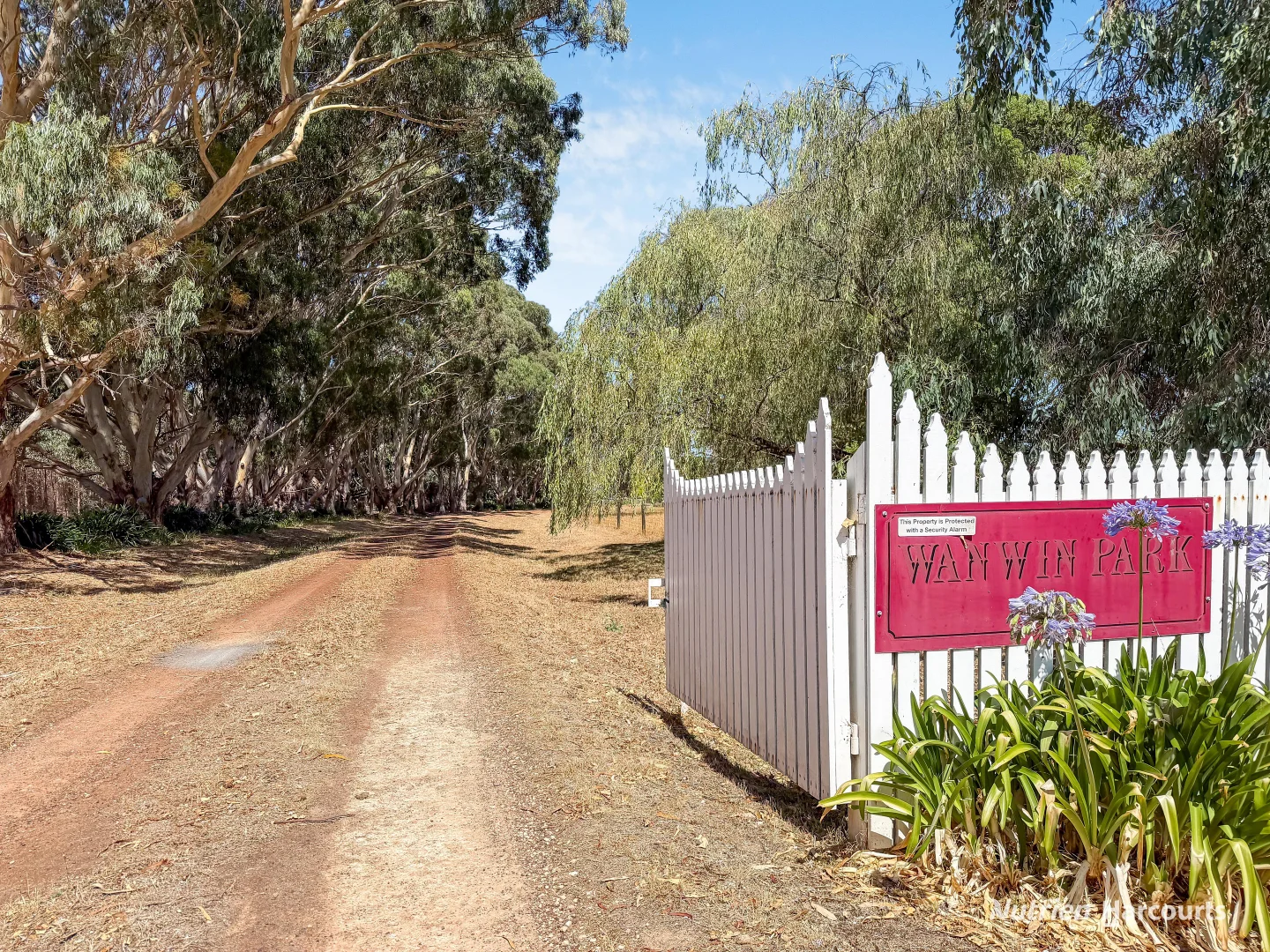 Additional image 21 of 230 Mcleans Road, Dartmoor VIC 3304