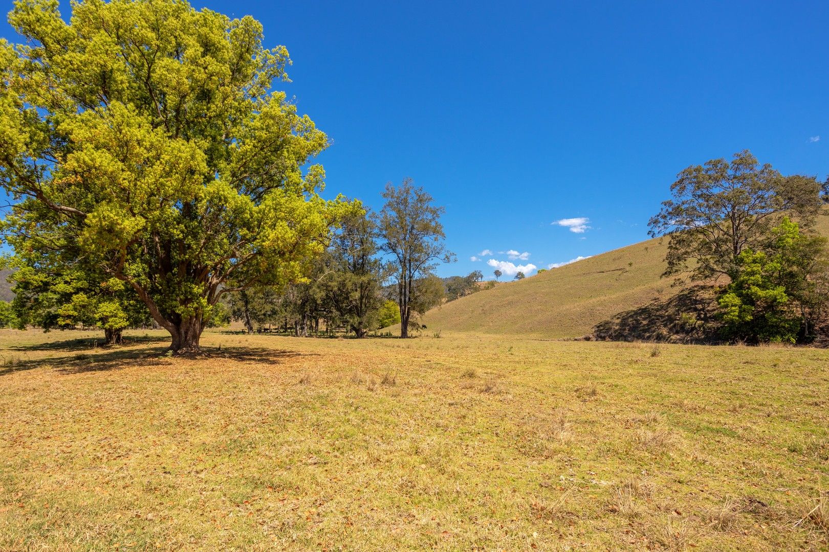 Lot A Big Run Road, Wherrol Flat NSW 2429, Image 0