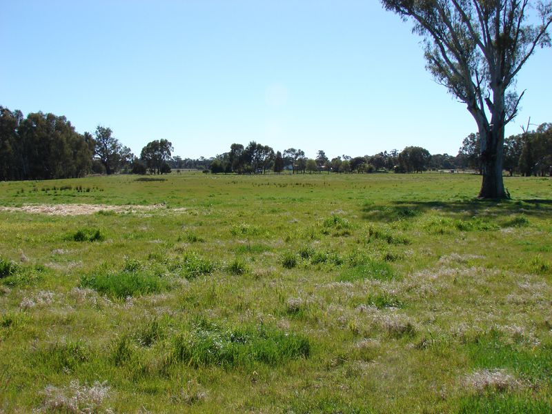 2850 Old Narrandera Road, CURRAWARNA NSW 2650, Image 1