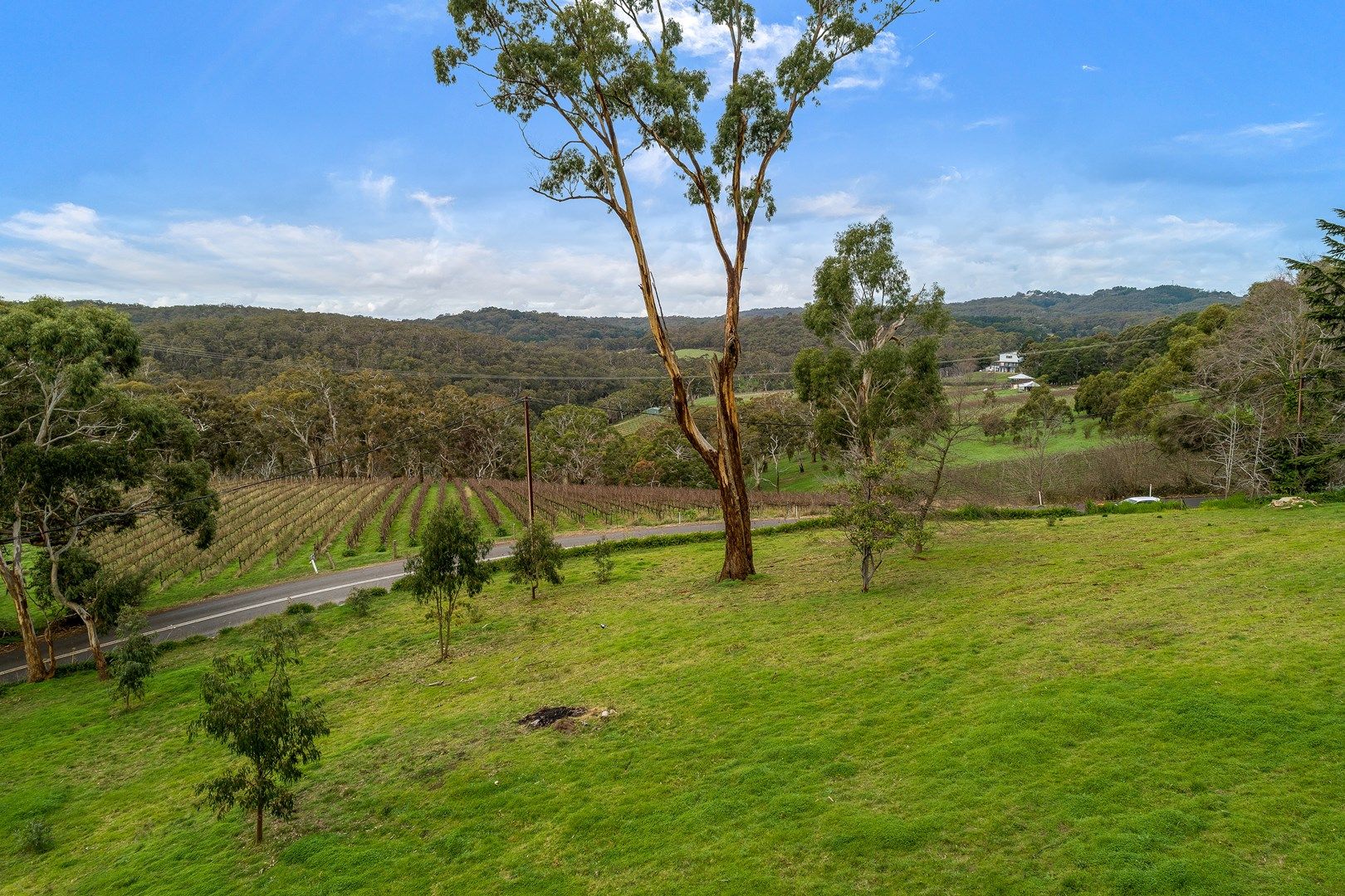 186 Norton Summit Road, Teringie SA 5072, Image 0