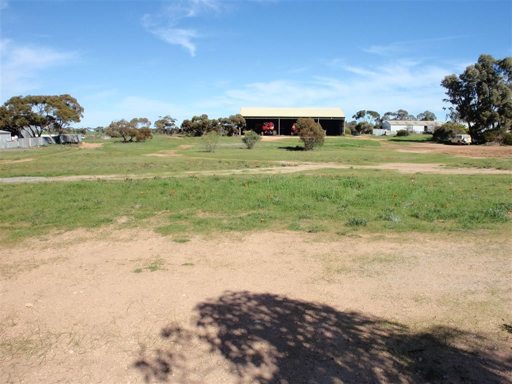 54 Eyre Highway, Wudinna SA 5652, Image 0