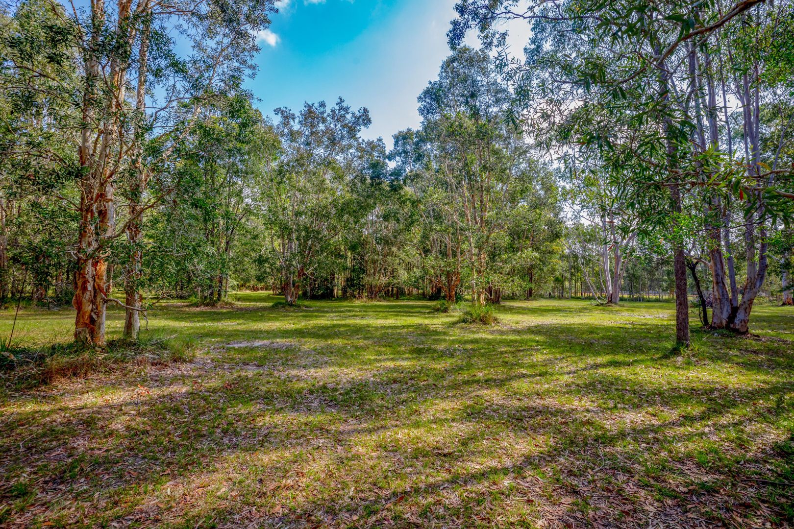 14 Riverpark Drive, Ringtail Creek QLD 4565 Domain