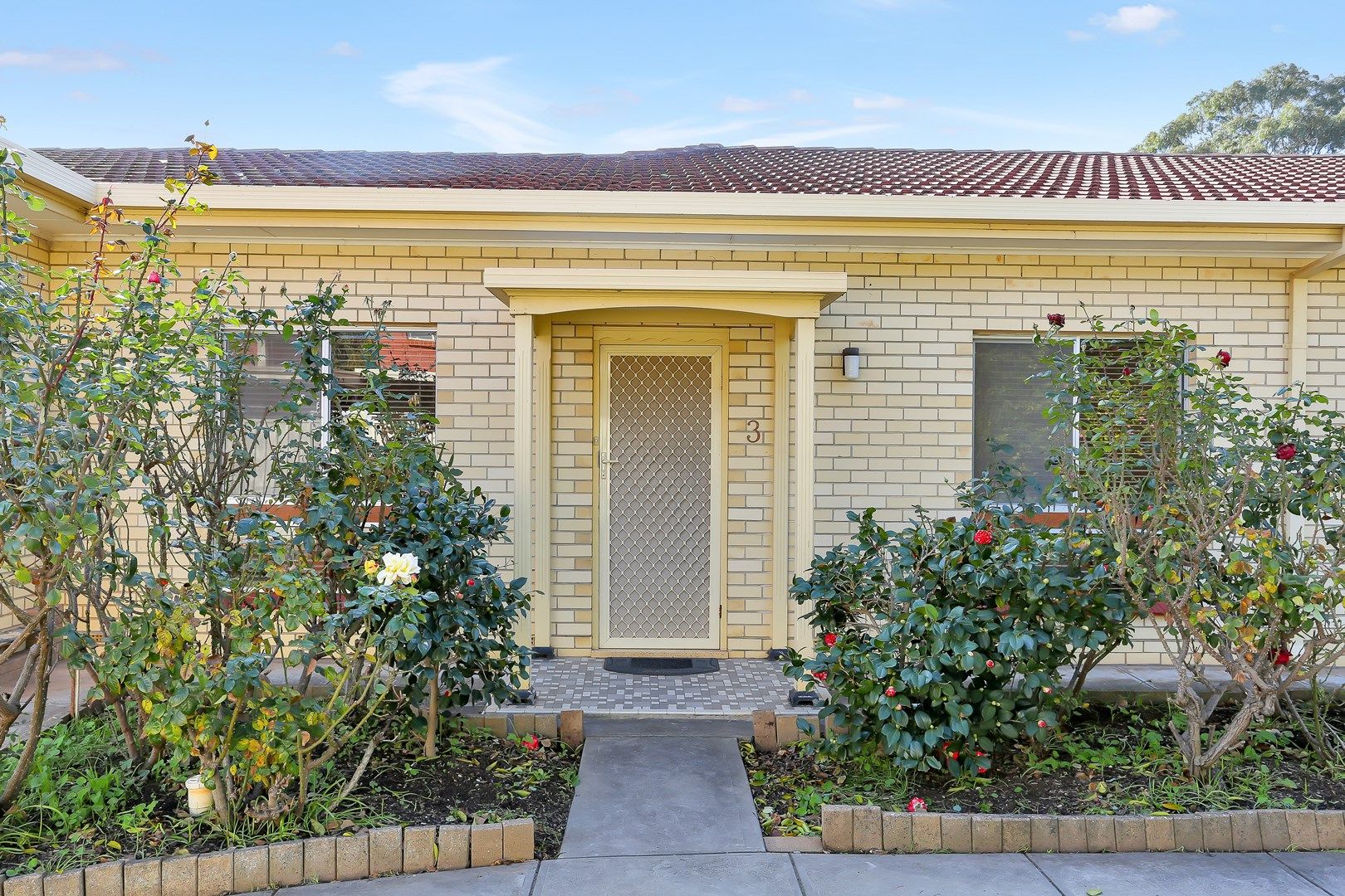 3/10 Barry Road, Oaklands Park SA 5046, Image 0