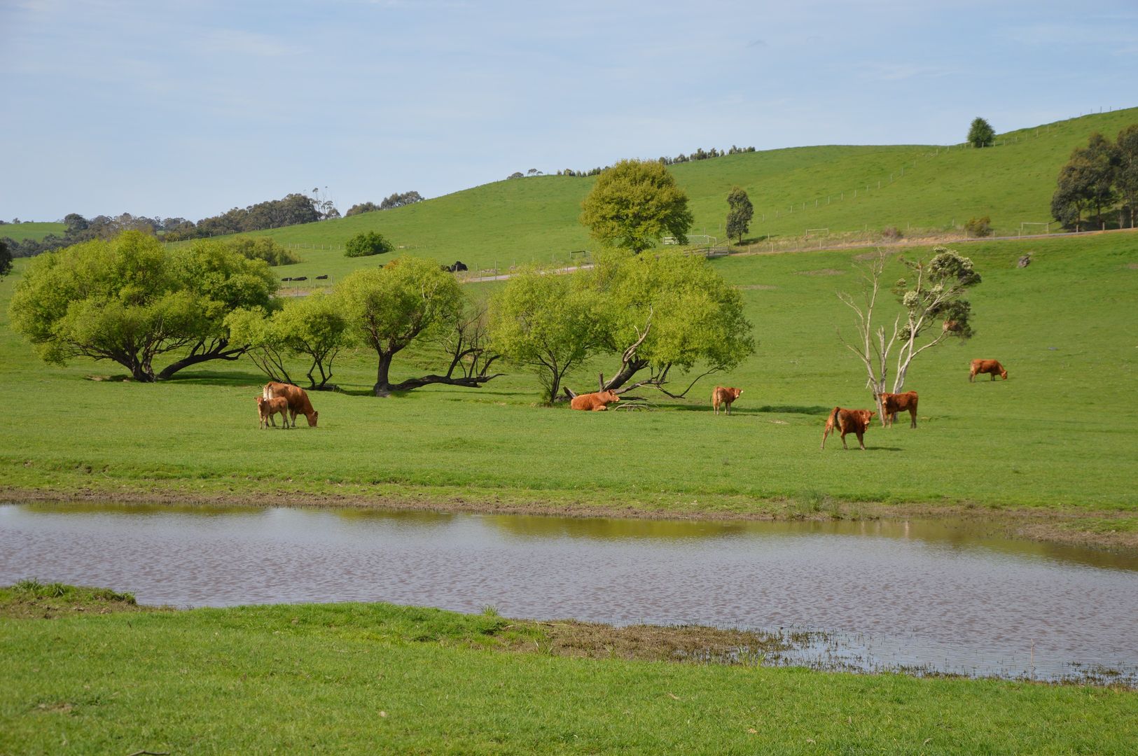 80 Old Koonwarra-Meeniyan Road, Koonwarra VIC 3954, Image 1