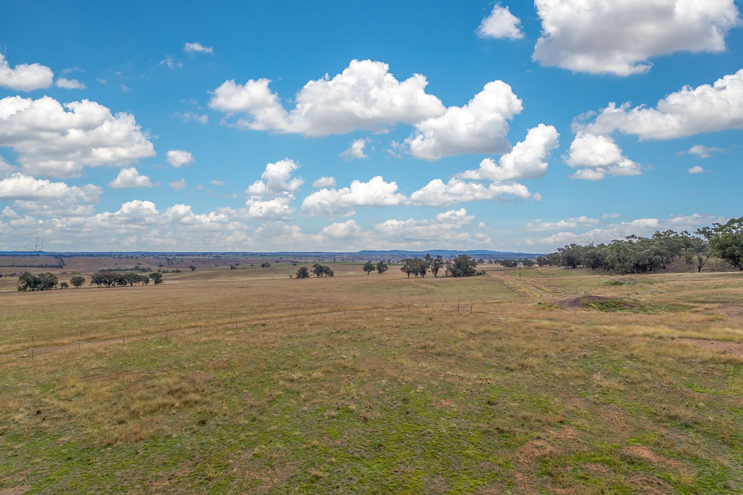 1864 Euchareena Road, Boomey NSW 2866, Image 1