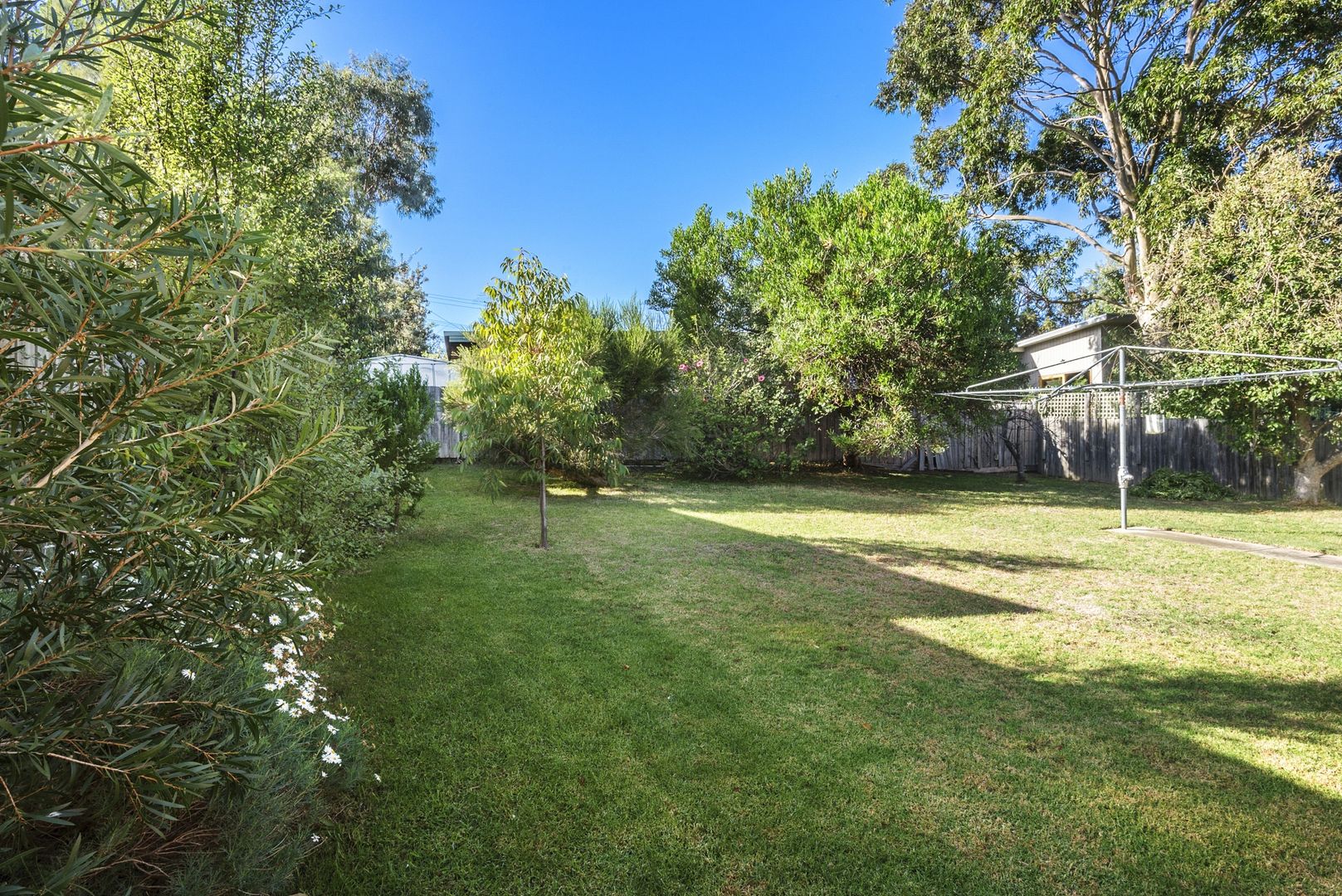 13 Pearl Street, Ocean Grove VIC 3226, Image 2