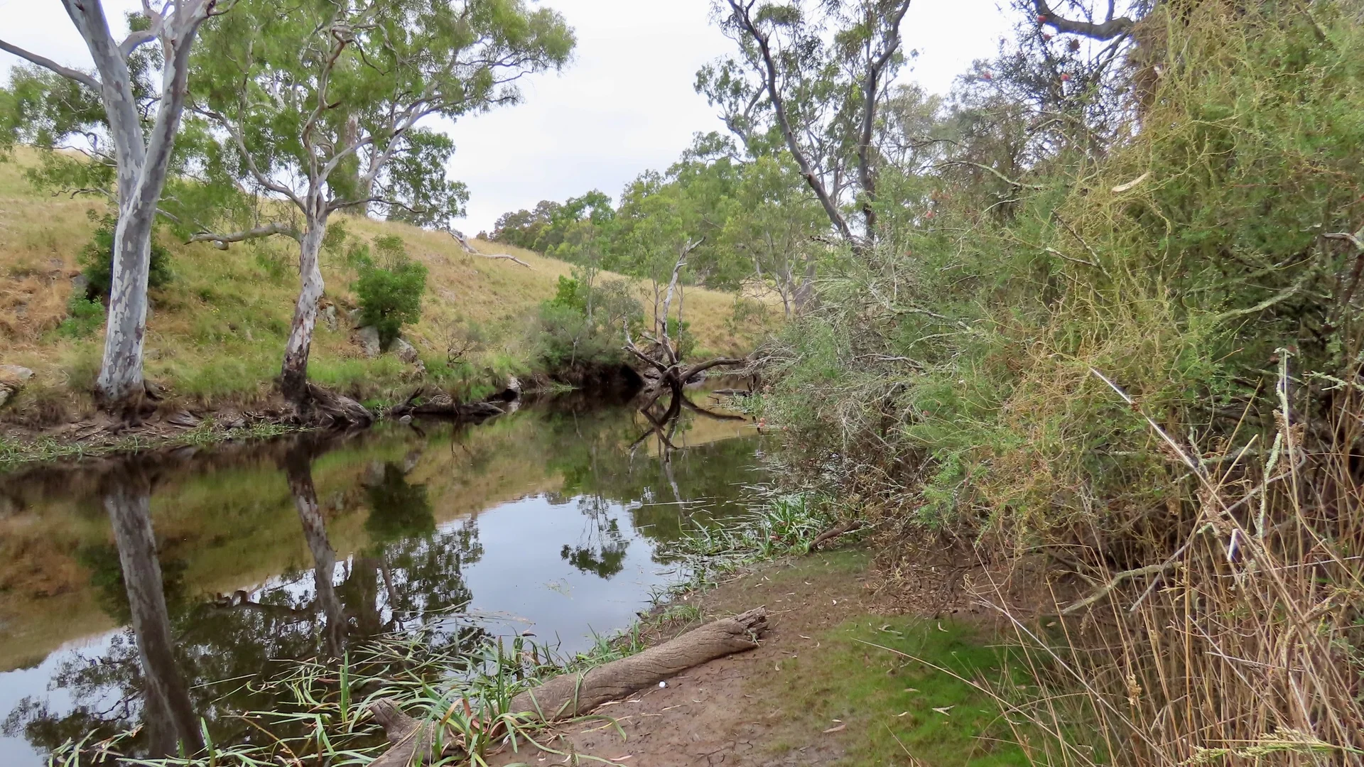 Additional image 33 of 596 Mostyn Lane, Balmoral VIC 3407