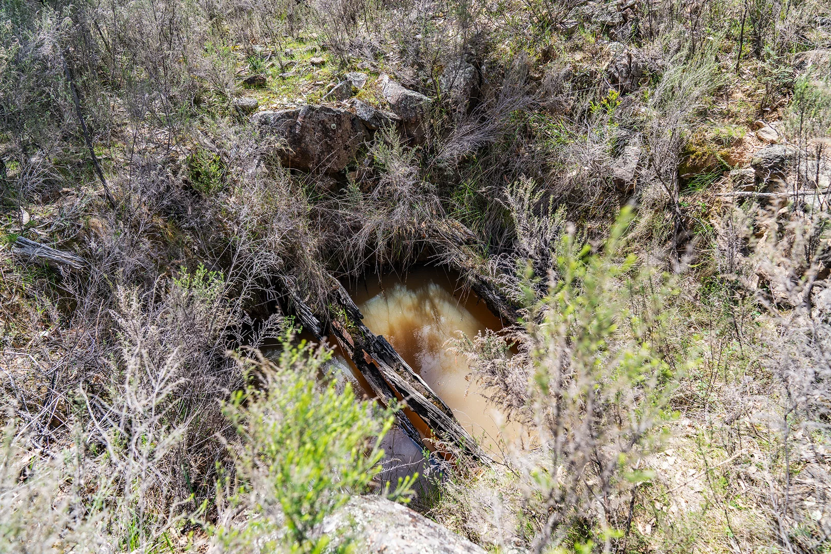 Image 7