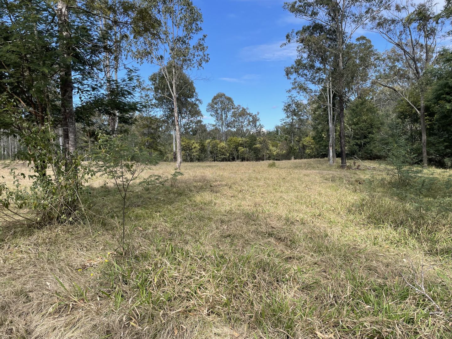 306 Orara Road, Lanitza NSW 2460, Image 2