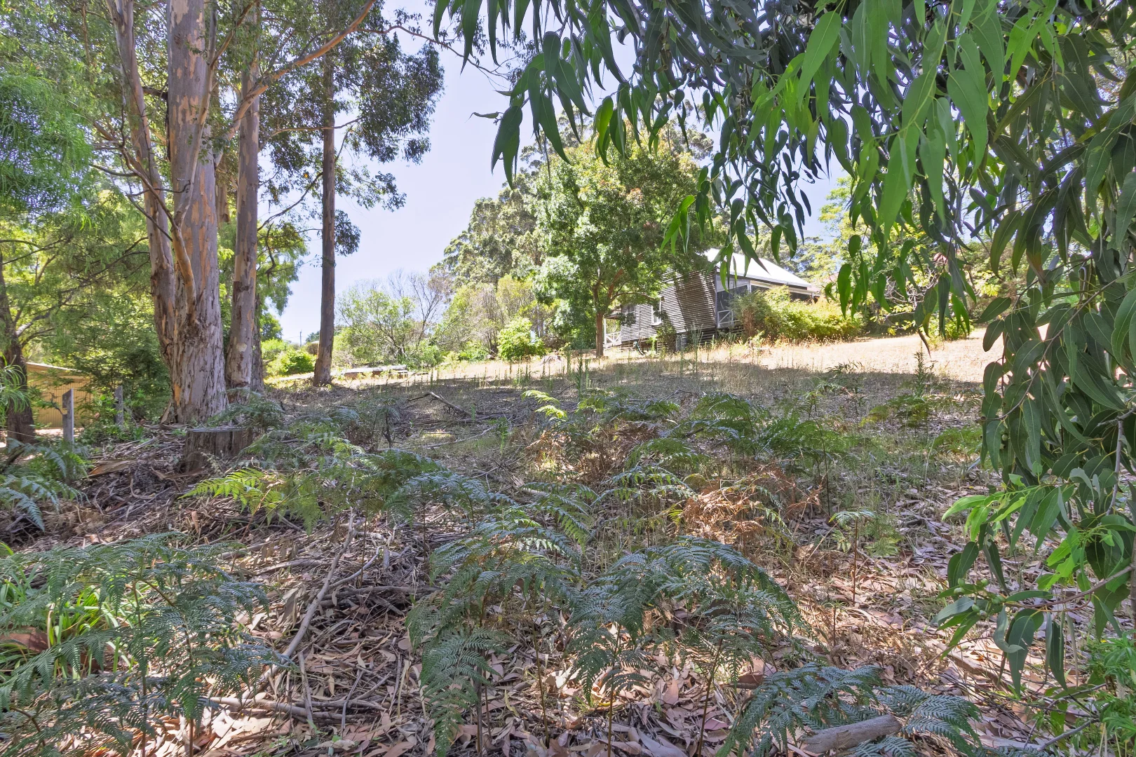 Additional image 13 of 45 Ellis Street, Pemberton WA 6260