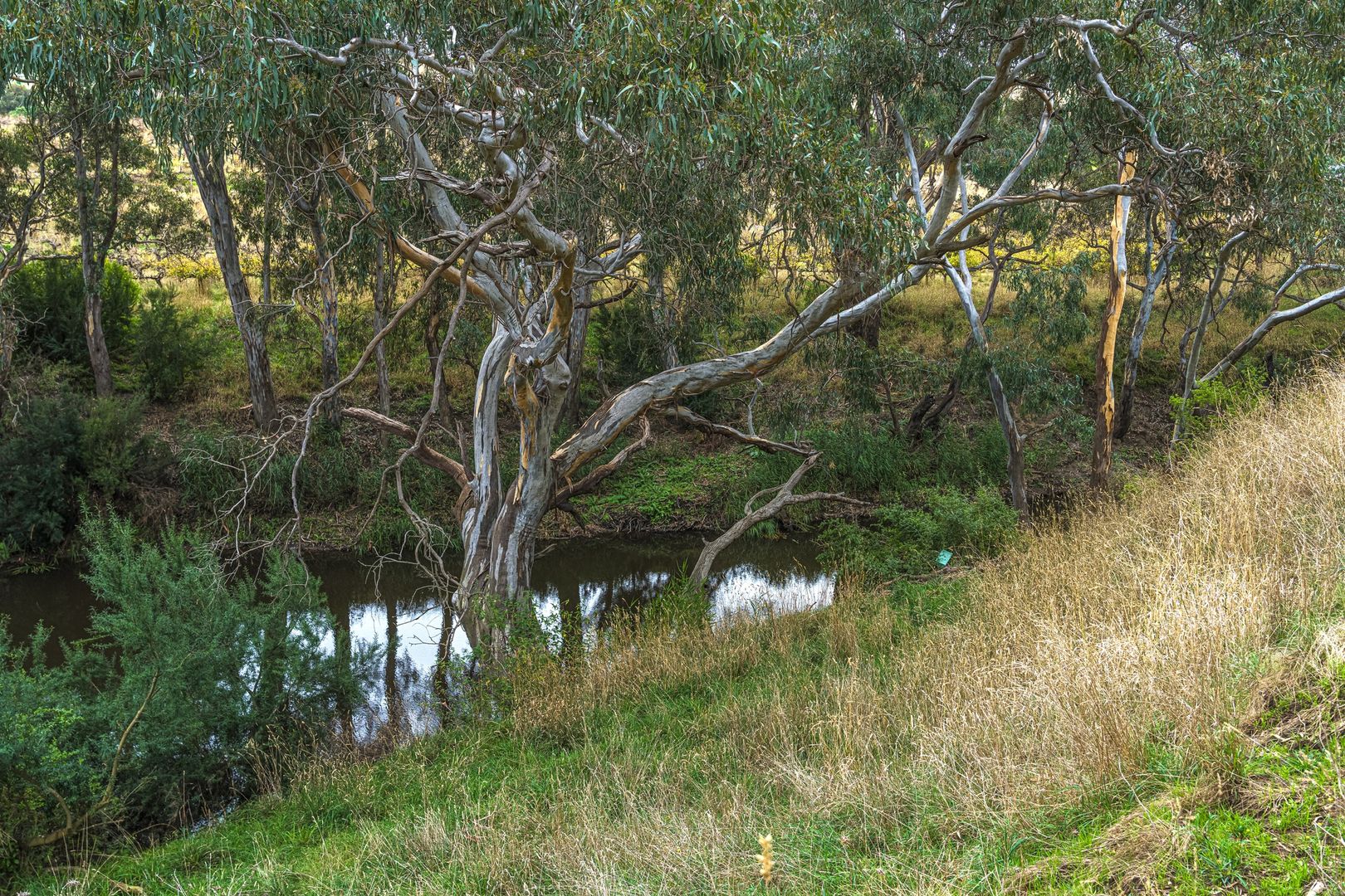 1803 Steiglitz Road, Maude VIC 3331 Vacant Land for Sale Domain