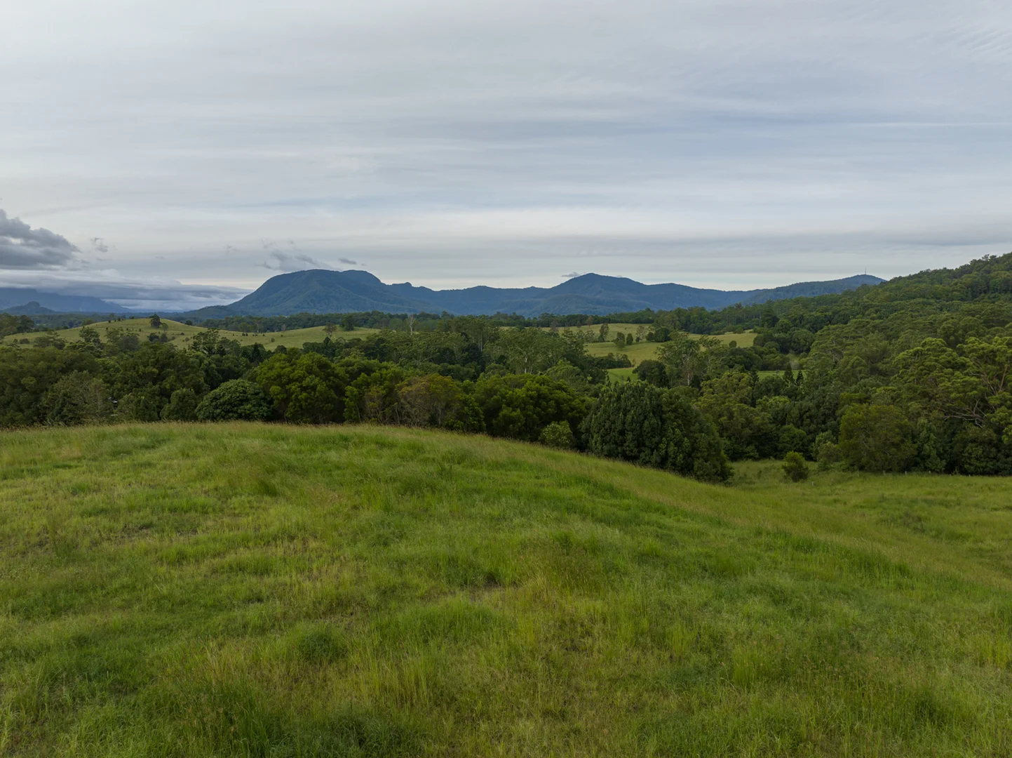 Image 18