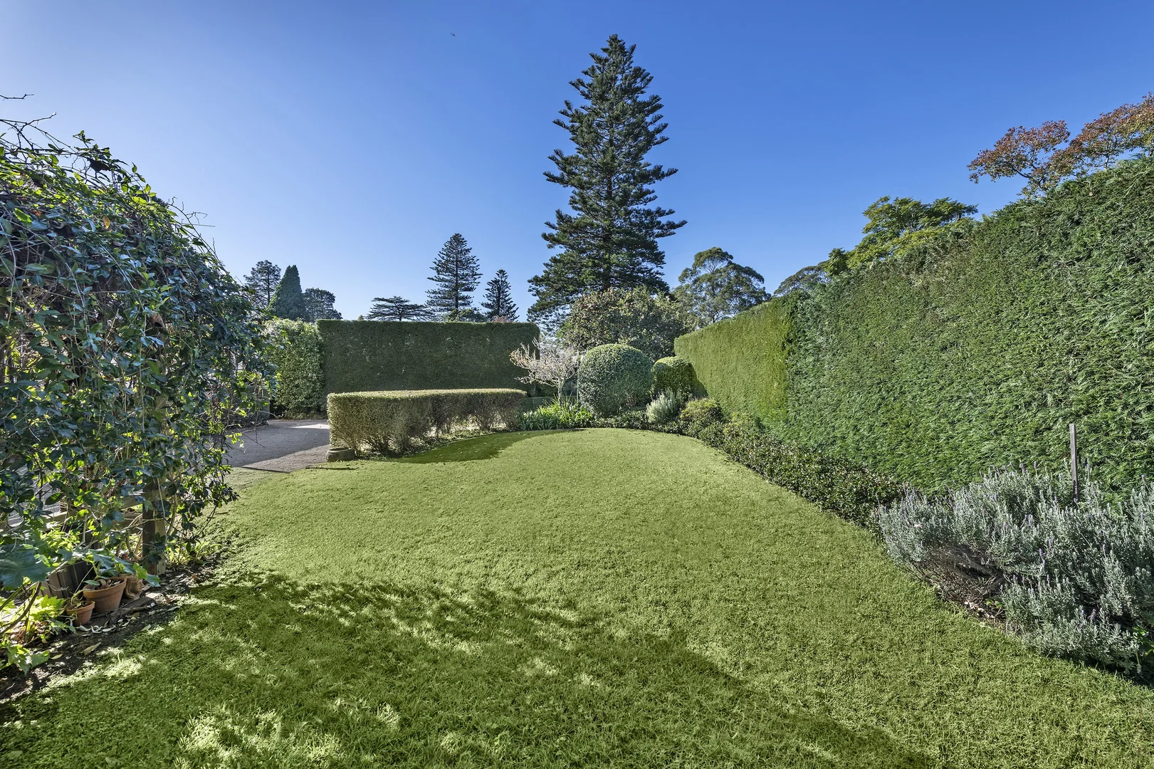 Image 13