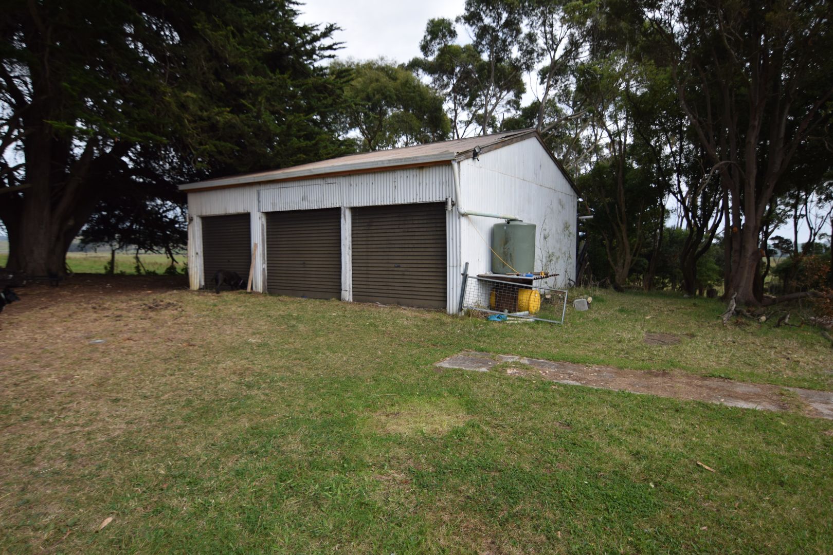 169 Comeback Road, Redpa TAS 7330, Image 1