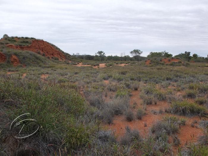 Lot 4164/71 SCHABER ROAD, ALICE SPRINGS NT 0870, Image 1