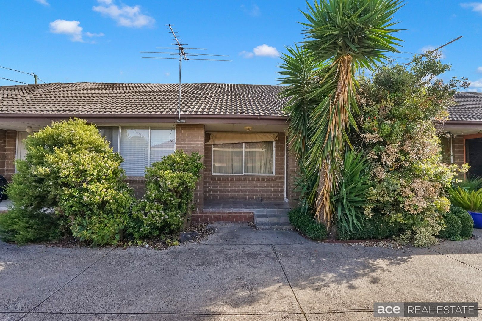 3/218 Biggs Street, St Albans VIC 3021 Domain