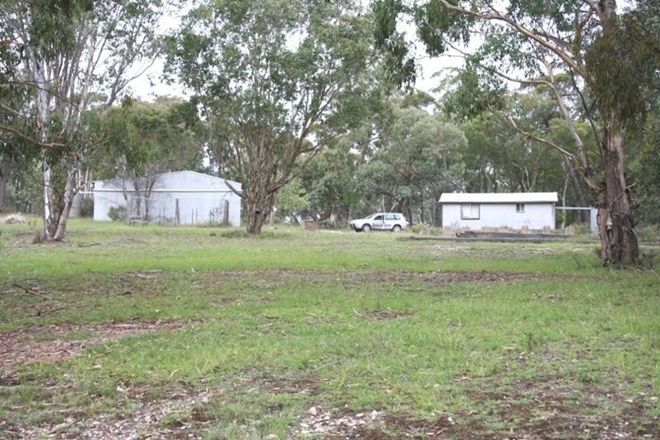 Picture of BOCOBLE NSW 2850