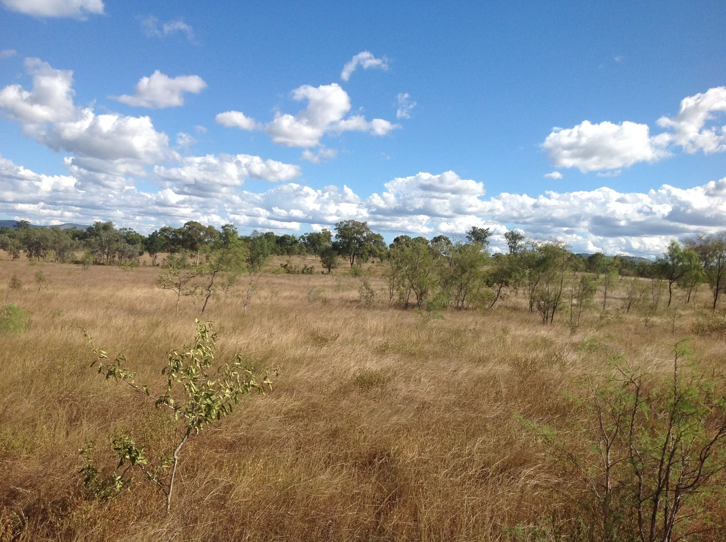 Image 15