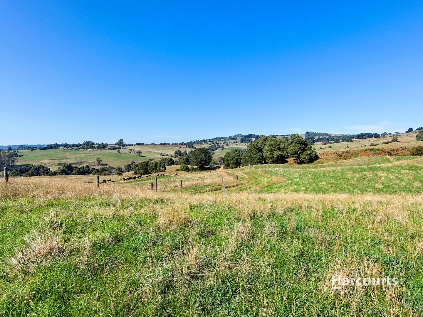 Additional image 6 of 00 Dudfields Road, Mount Hicks TAS 7325