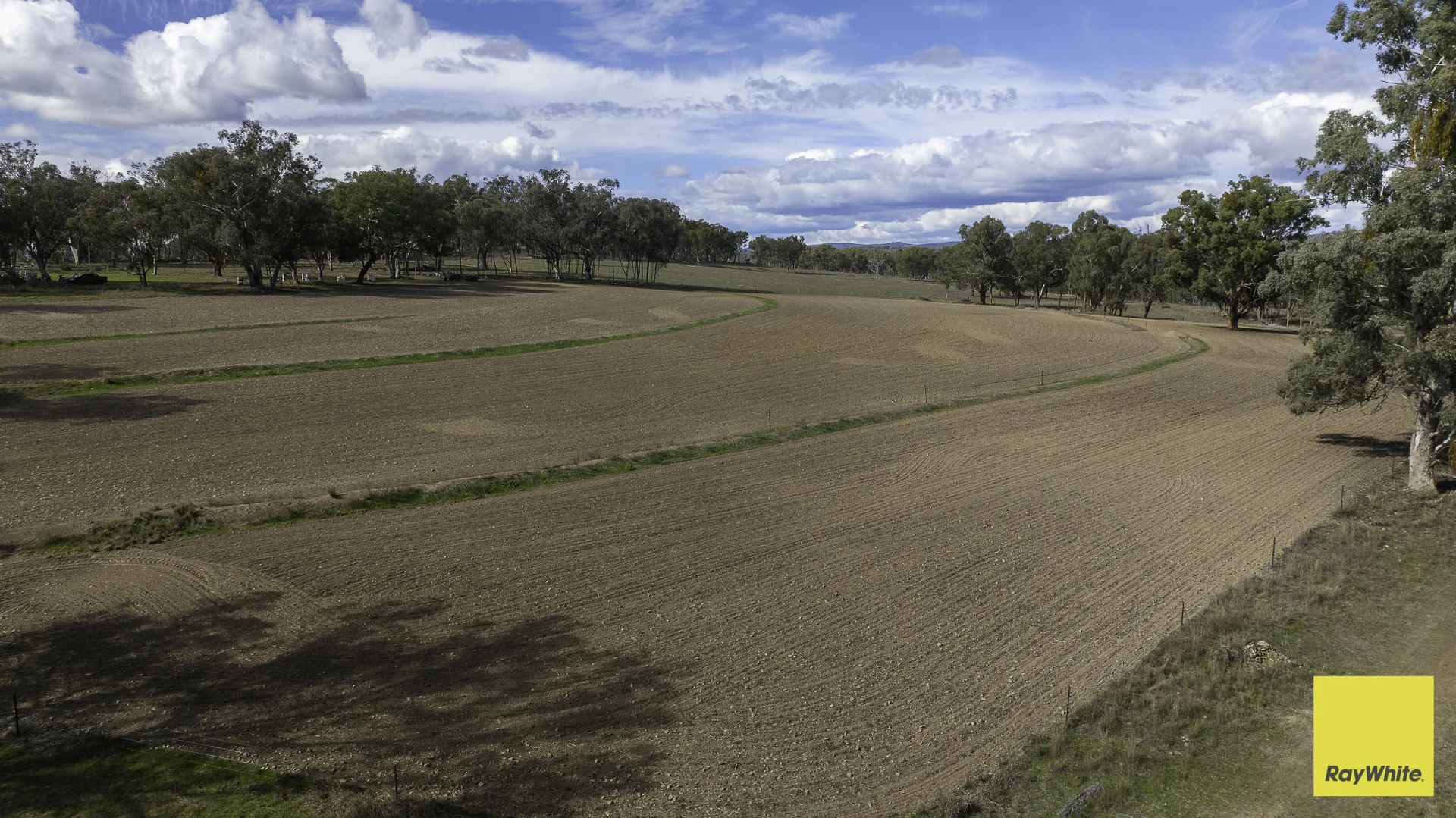 Image 14