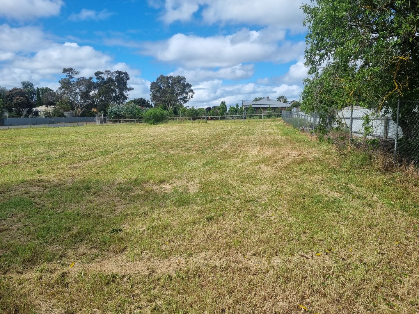 173 Mount Gambier Road, Millicent SA 5280 Domain