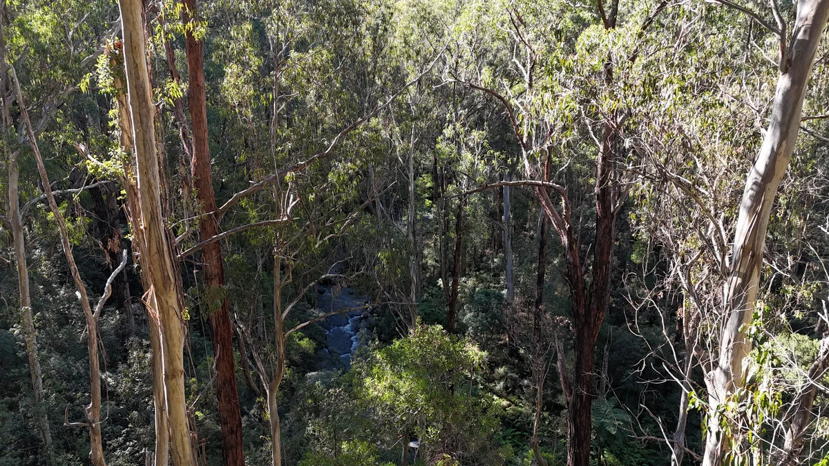 Image 13
