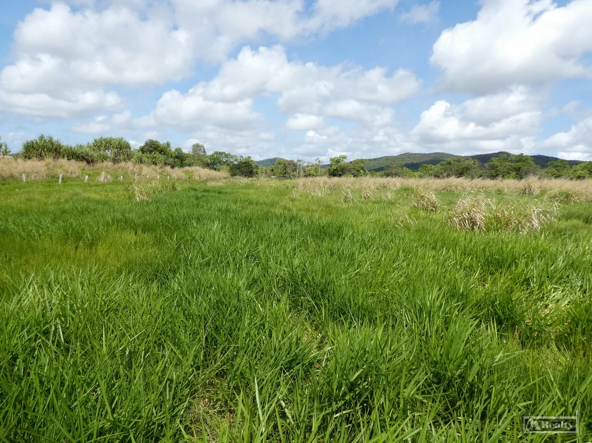 Cowley QLD 4871 photo 4