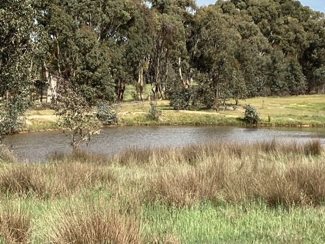 Lot 38C Lexton-Evansford Road, Evansford VIC 3371, Image 0