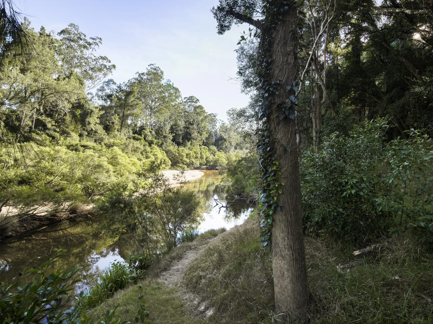 Additional image 36 of 370 Orara Road, Lanitza NSW 2460