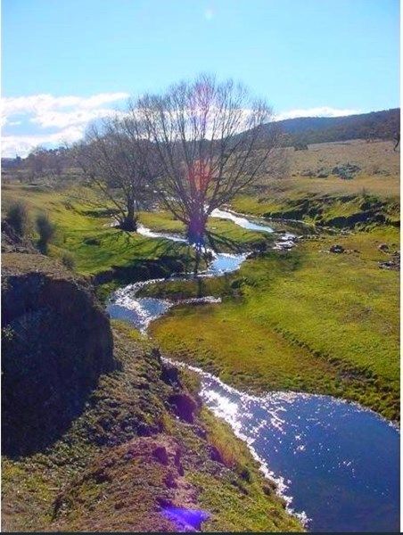 Snowy Creek Avenue, Cooma NSW 2630, Image 2