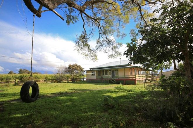 Picture of 264 South Arm School Road, SOUTH ARM NSW 2460