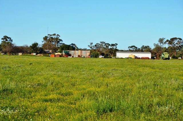 * Darling Downs, Cobar NSW 2835, Image 2