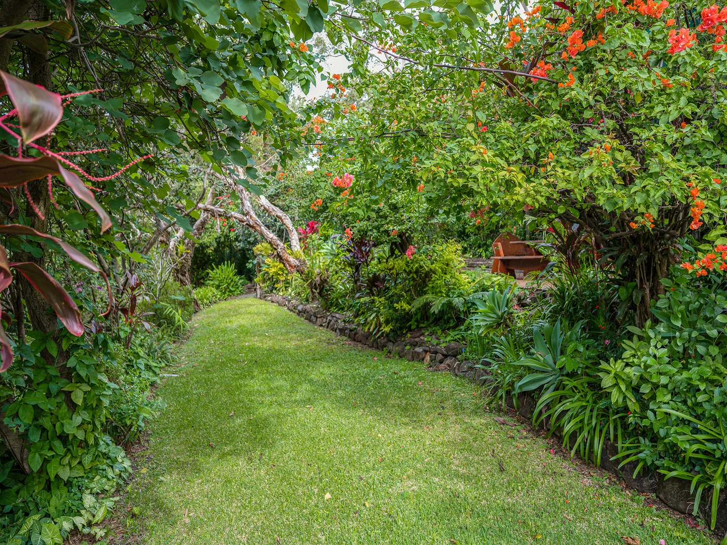 Image 29