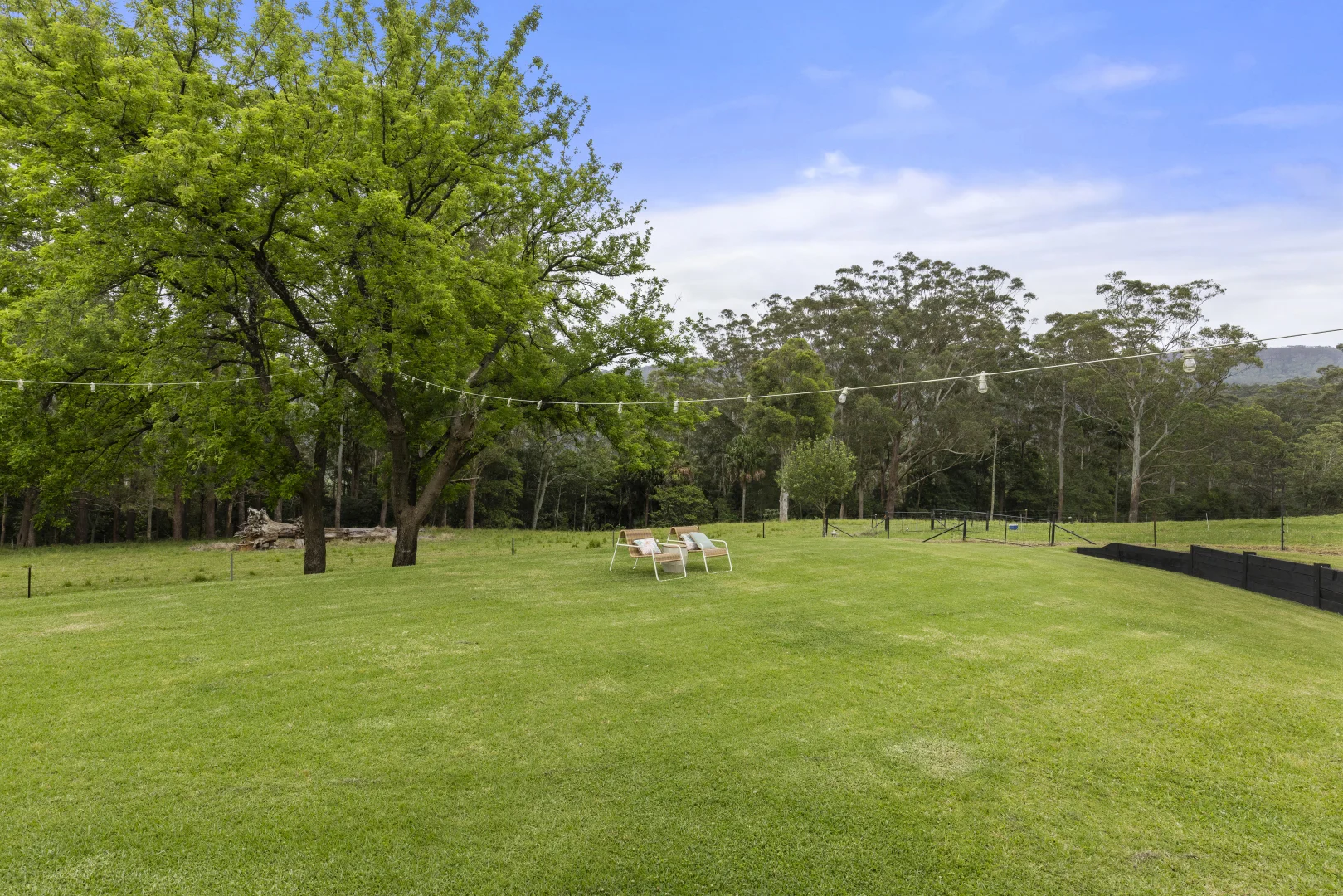 Image 22