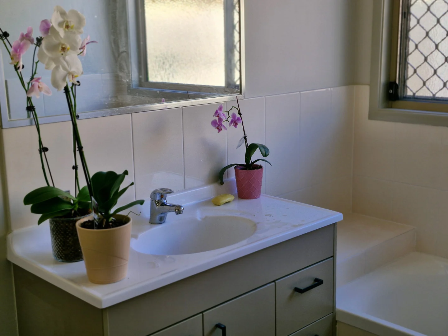 Additional image 11 of 53 Water Fern Drive, Caboolture QLD 4510