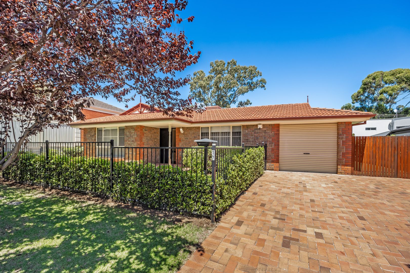 17 Douglas Street, Magill SA 5072, Image 1