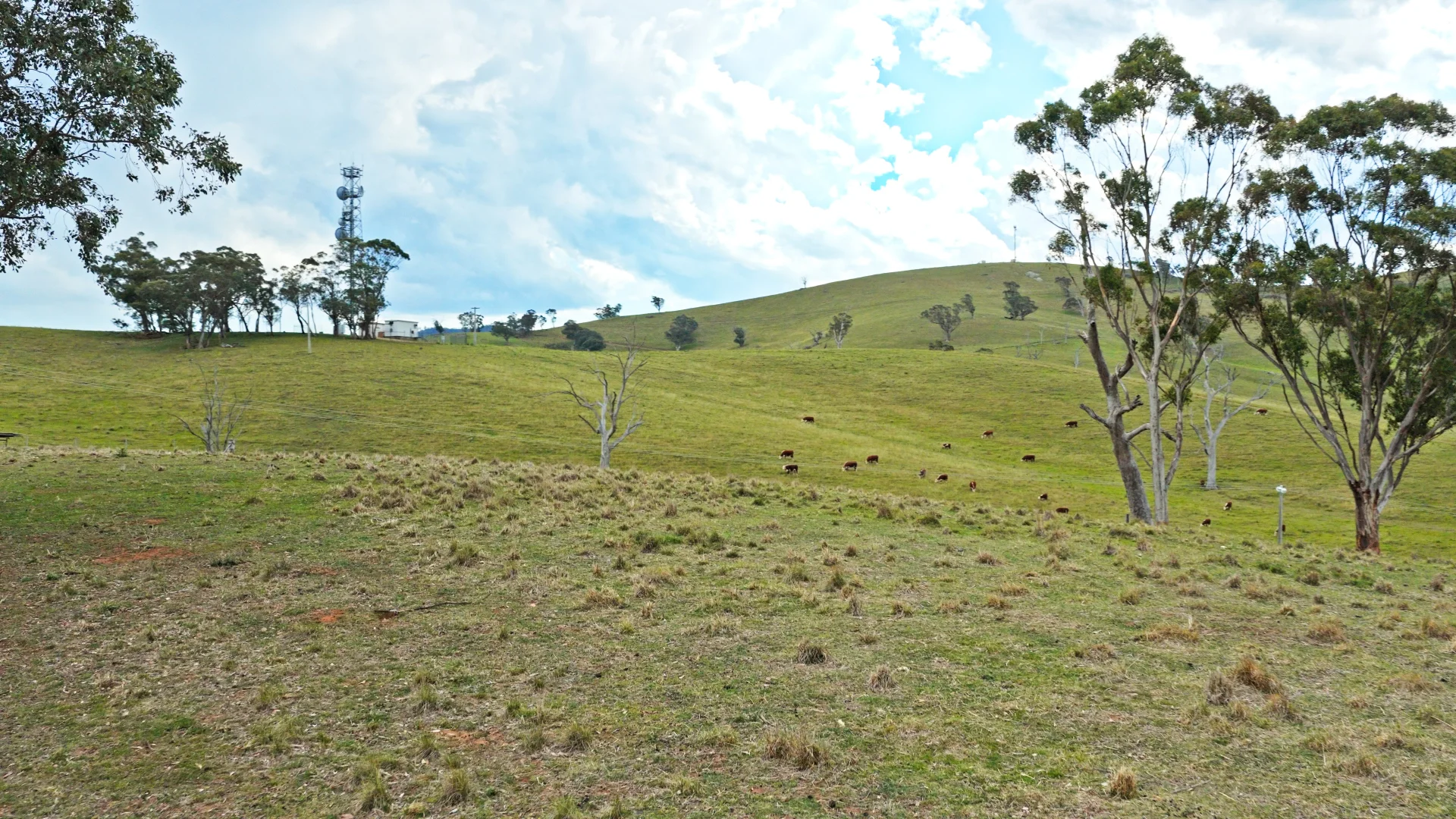 Additional image 7 of Allot 15/5185 Great Alpine Road, Ensay VIC 3895