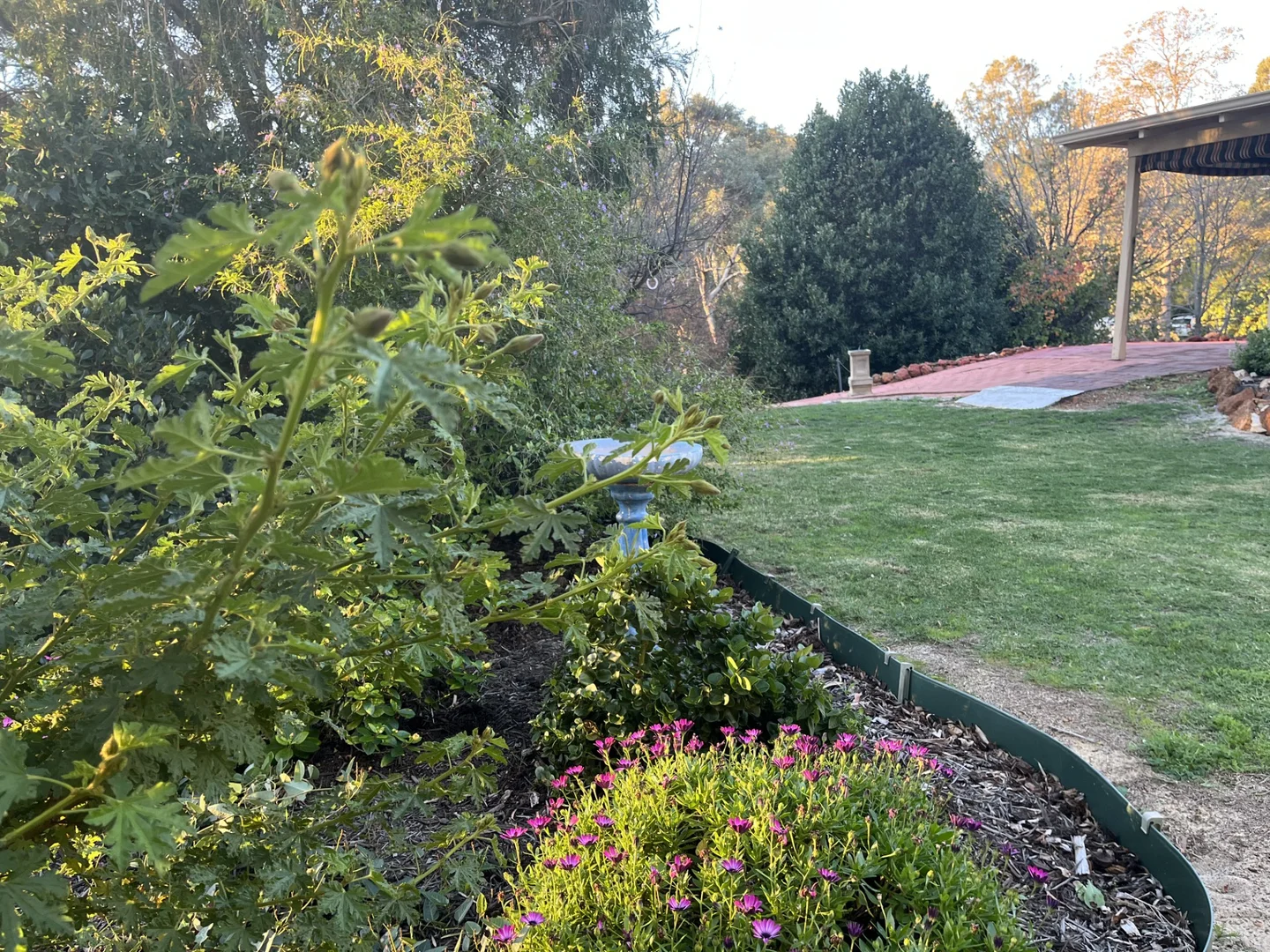Image 15