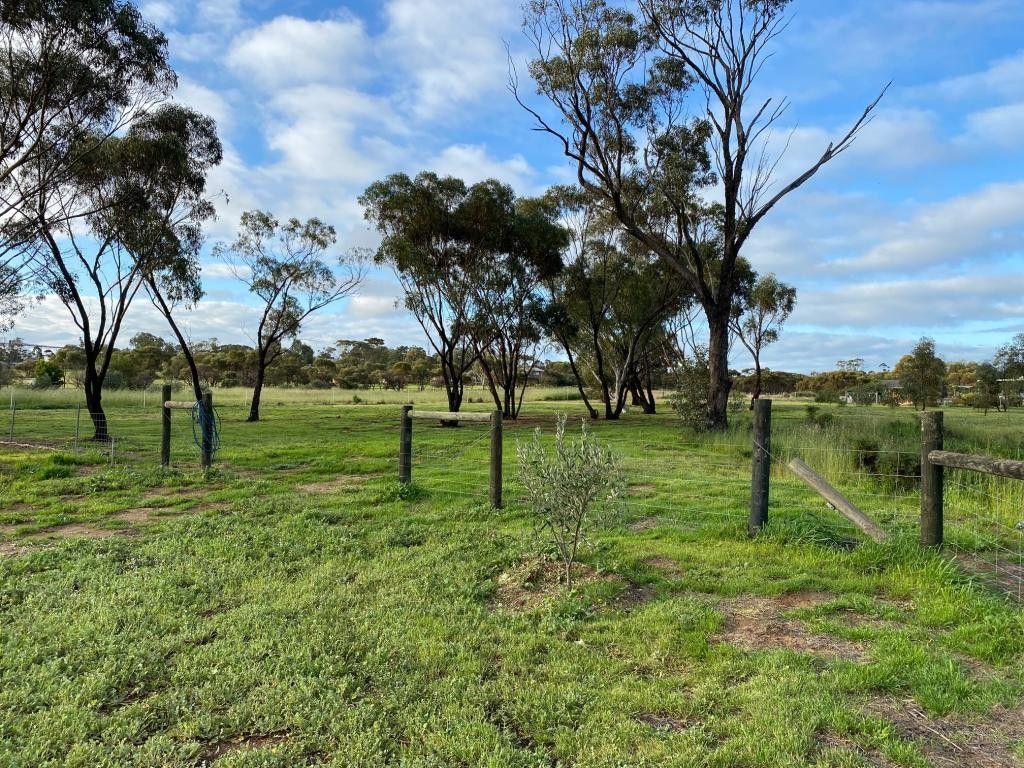 Lot 207 Hennessy Place, Goomalling WA 6460, Image 2