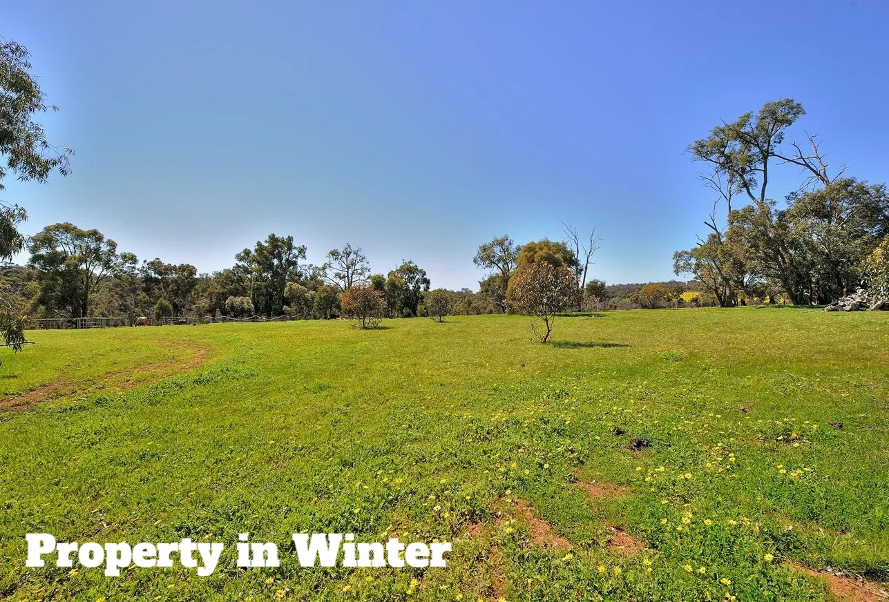 Additional image 17 of 7000 Werribee Road, Wooroloo WA 6558