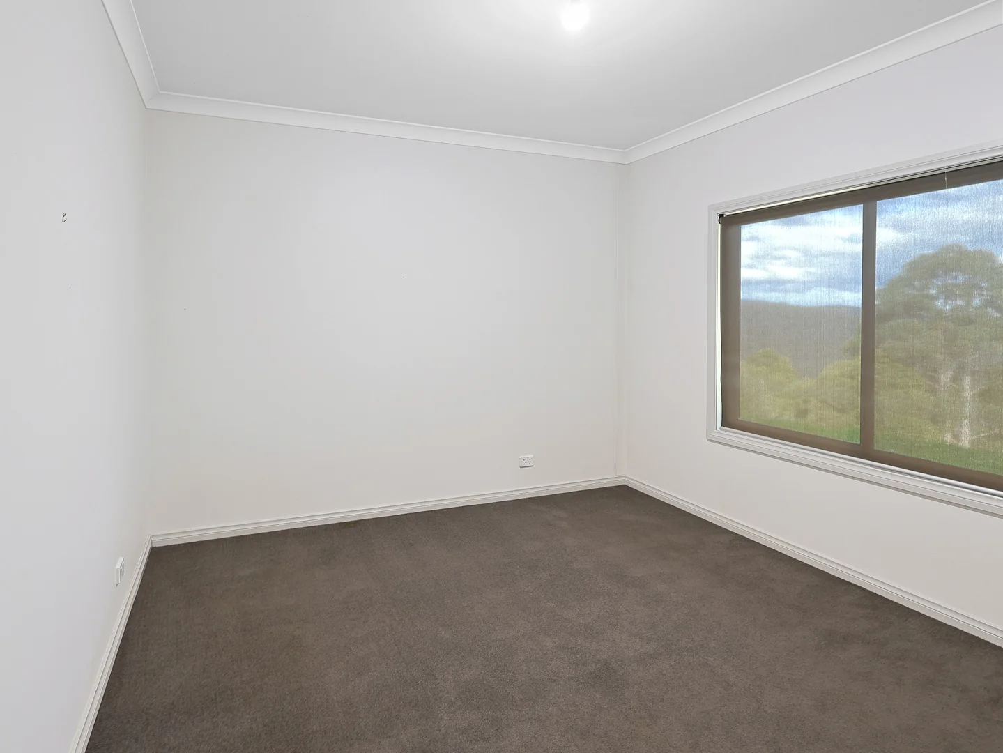 Additional image 24 of 384 Ridge Road, Noojee VIC 3833